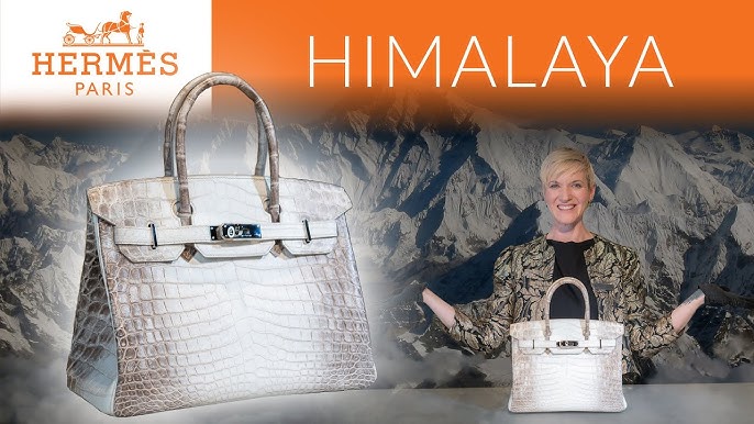 Deconstructed: The Hermès Himalaya