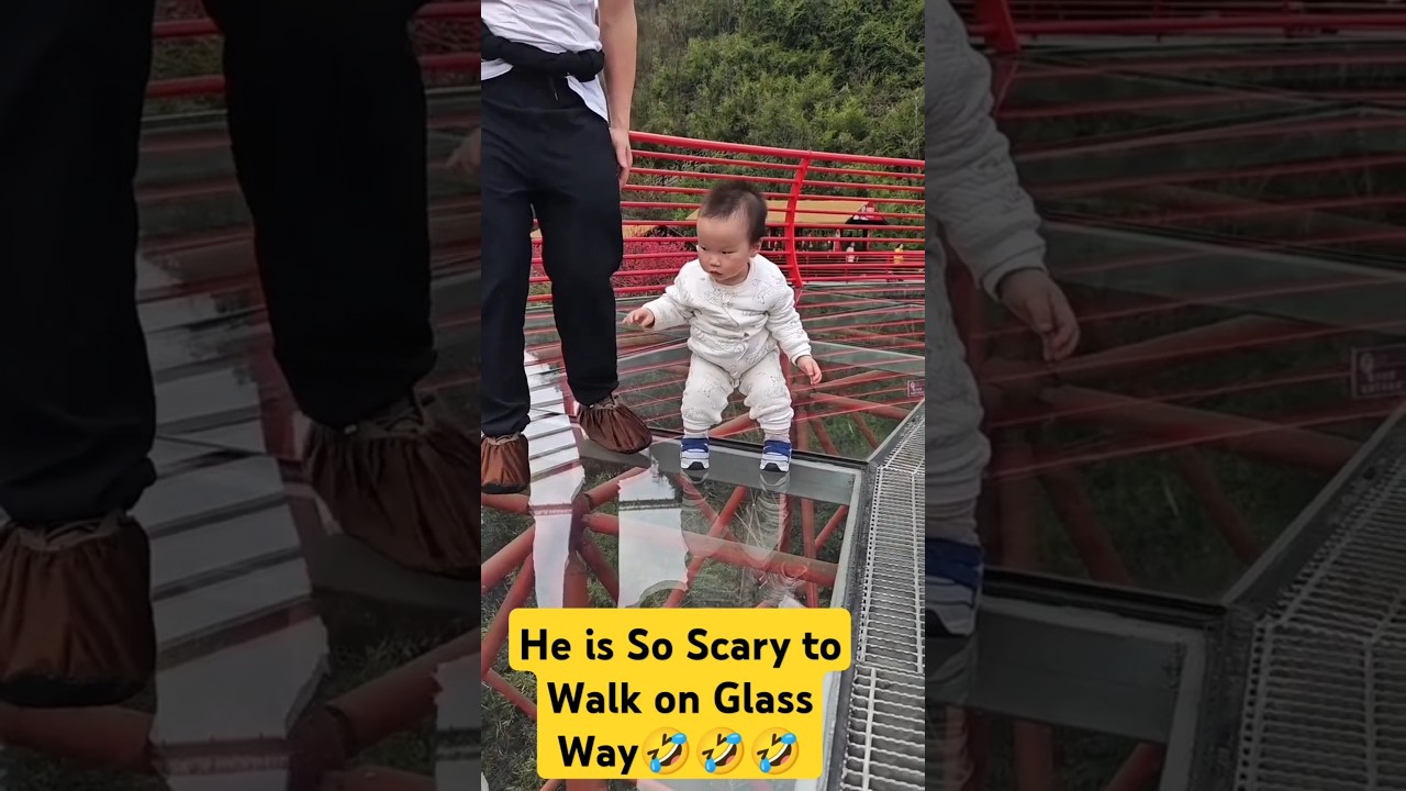 He is so scared  to walk on Glass way 😷😦 