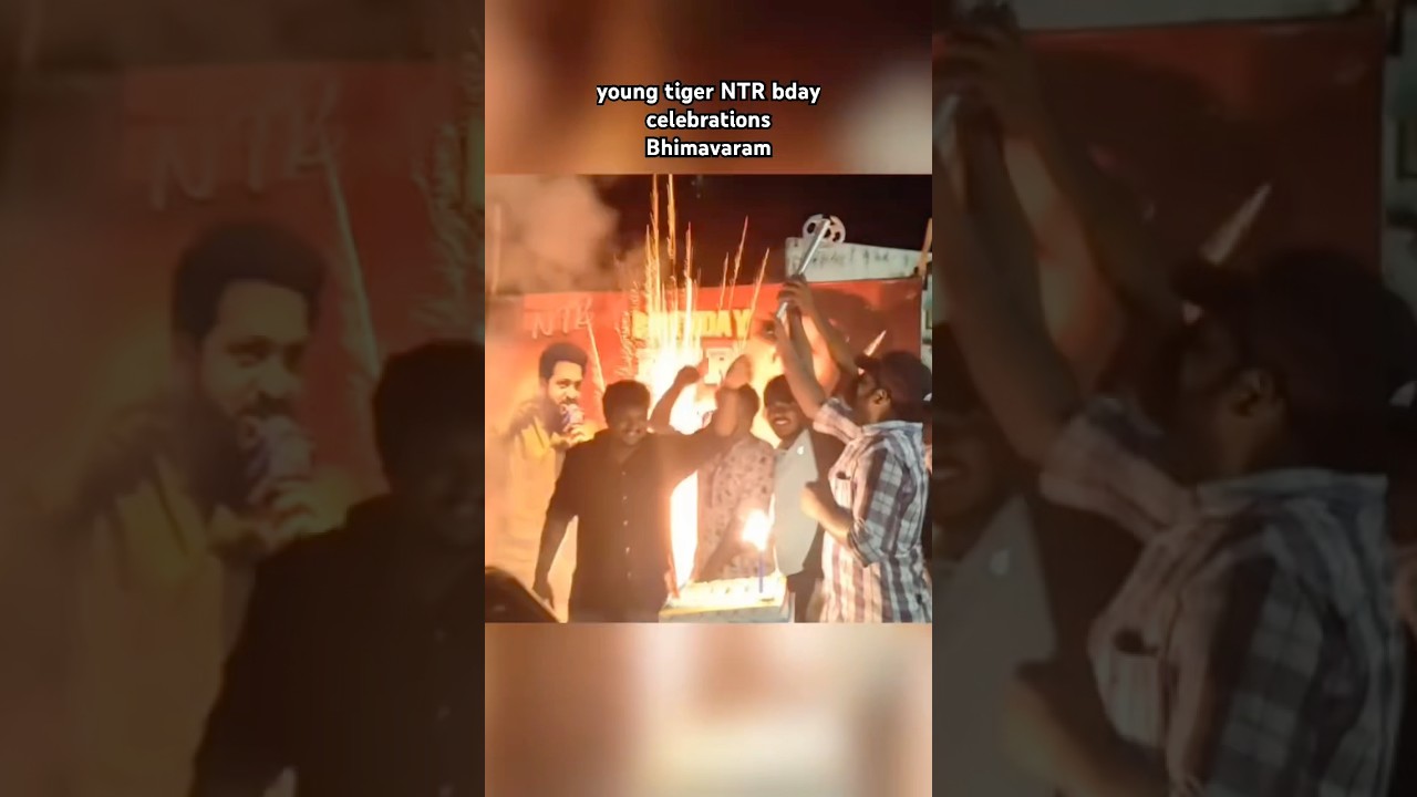 NTR BIRTHDAY CELEBRATIONS 