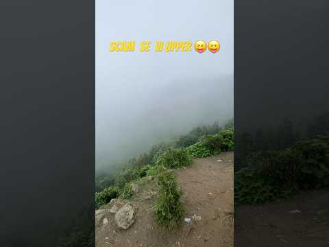 Darjeeling tea garden scam #scam #trending #viral #audio #originalsong