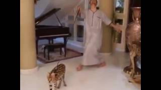 Free kucing dato-aliff-syukri Watch Online - Khatrimaza