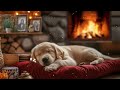 12 Hours Of Dog Calming Music🎵 Ultimate Anxiety Relief 🐶 Calm &amp; Comfort Your Pet with Dog Music