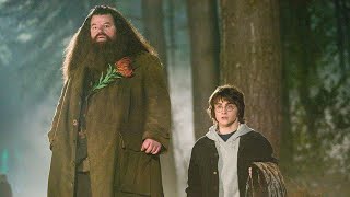 Daniel Radcliffe Pays Tribute to ‘Harry Potter’ Star Robbie Coltrane, Dead at 72