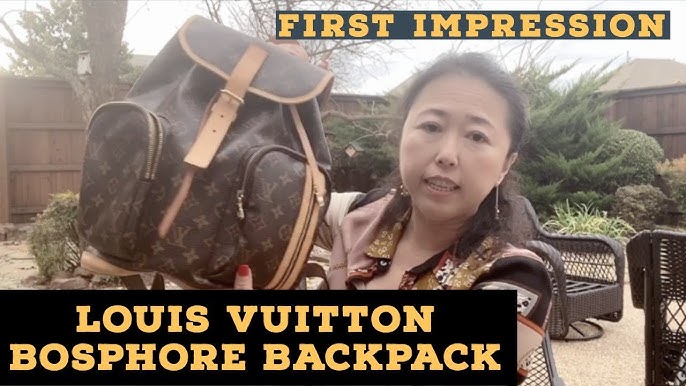 Louis Vuitton Bosphore Backpack Review + Mod shots 