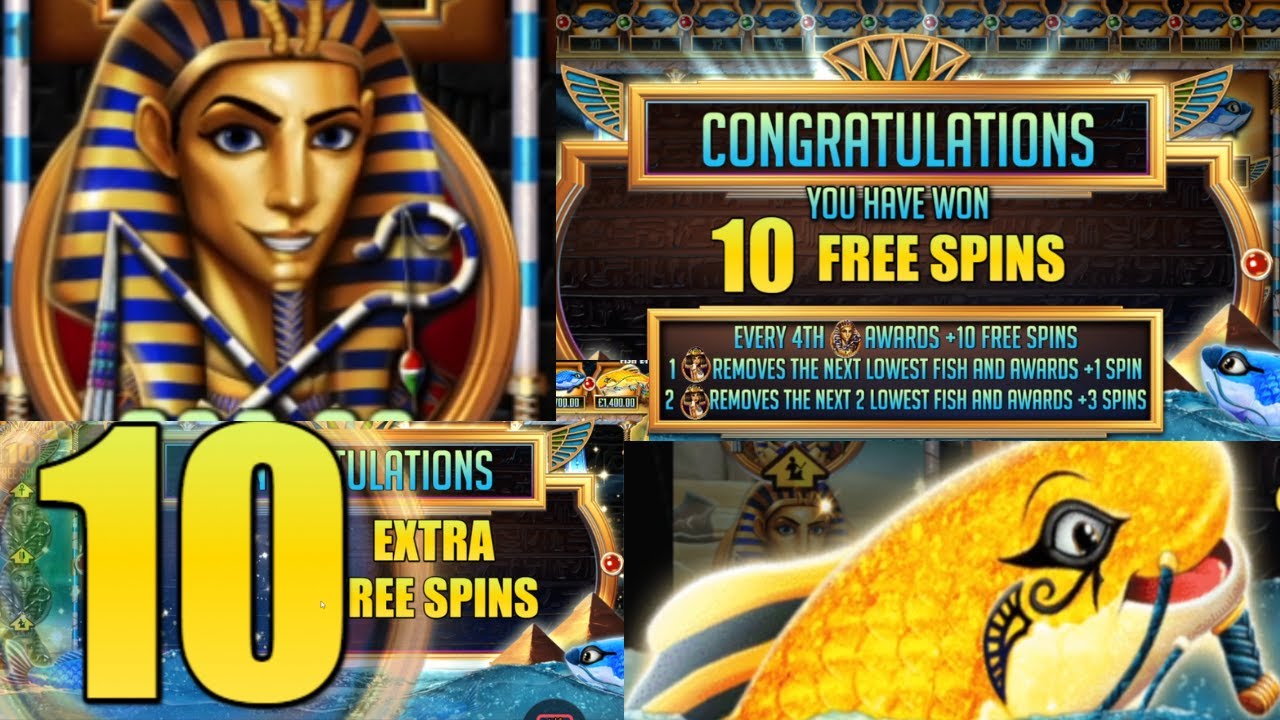 Fish Eye - Raining Features - Huge Win