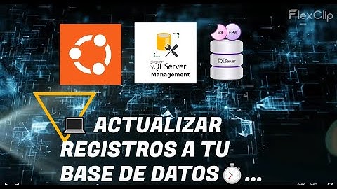✏️ UPDATE en SQL Server: Modifica Datos Fácilmente | Tutorial Práctico en Español...