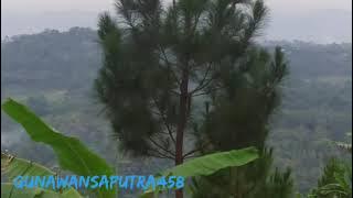 lagu minang-cinto dalam gantungan.mp4