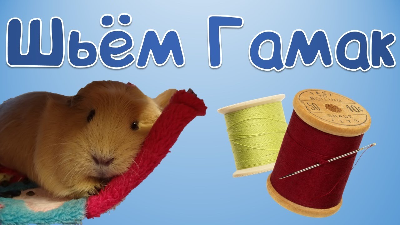 Как сделать гамак для морской свинки своими руками в домашних условиях с подробной инструкцией, фото и видео Как сделать гамак для морской свинки своими руками в домашних условиях (фото и видео)