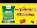 મગફળીમાં મુંડાનું 101% નિયત્રંણ 🤩#khedut #rajeshvora #agriculture #khedutputr
