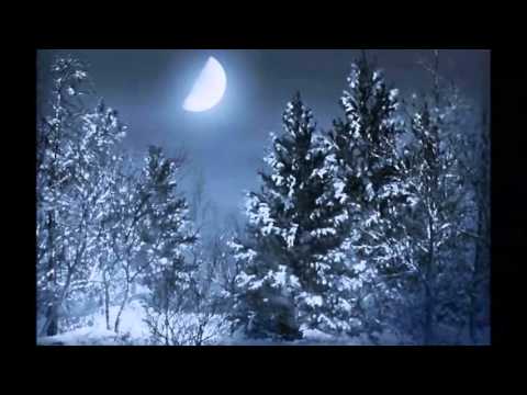 Иван алексеевич бунин помню долгий зимний вечер. Помню долгий зимний вечер. Иван алексеевич бунин помню долгий зимний. Я помню долгий зимний вечер бунин. Пасичник владимир семенович художник.