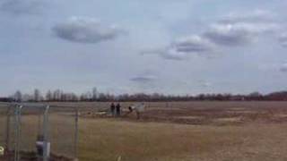 EASTER EGG HUNT 2008 A