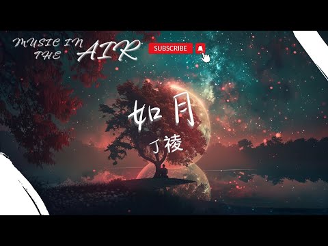 丁祾 - 如月『用盡一整個春天來釀就 熟透的青梅酒』【動態歌詞】