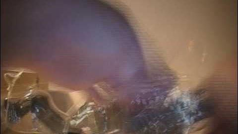 Transformers Revenge of The Fallen... The Fallen Unboxing