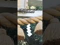 手速比羊神社【金運上昇】江戸時代には金採掘の宝達山 #shorts #賀茂神社 #気多大社 #石川県
