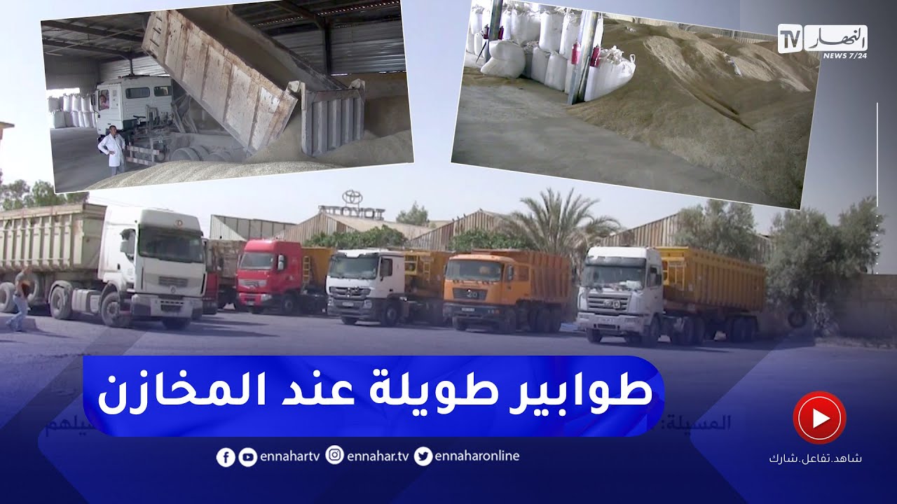 المسيلة: توافد كبير على تعاونية الحبوب والبقول الجافة لتسليم الفلاحين محاصيلهم