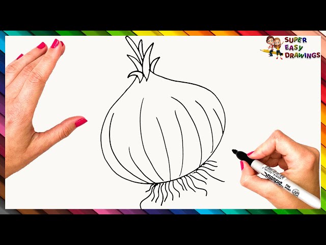 How to Draw Fruits and Vegetables for Kids: Step By Step Drawing Book For  Kids, 30 Projects Step by Step Guided Drawing Book for Kids: ABDO,  Mecdeddin: 9798790082504: Amazon.com: Books