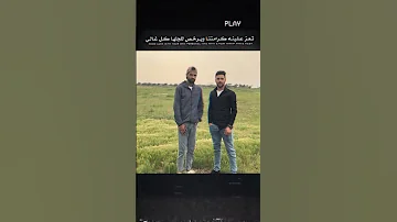 عايشين الدنيا بمعزه 
