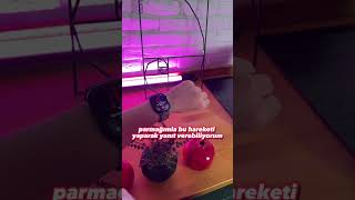 Apple Watch 9 Ile Tek Elle Yanıt Verme Özelliği