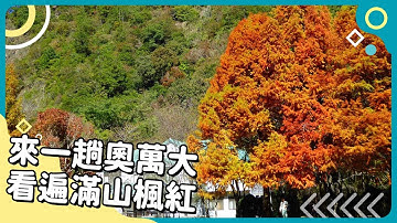 20241004 Unit2-2【來一趟奧萬大　看遍滿山楓紅】-完整課程