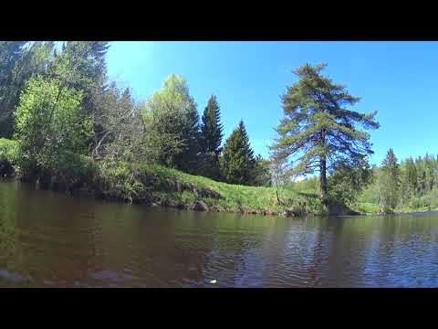 видео: Сплав по реке Кубрь