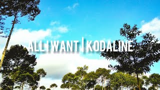 Download Lagu All I Want - Kodaline lyrics MP3 Download Lagu All I Want - Kodaline lyrics MP3