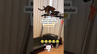 Customer Jantung Nya Ampir Copot Di Buat Mujaer kucinglucu memes funny lucu