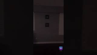 Mannequin Challenge -McCaw Ugly Sweater Style