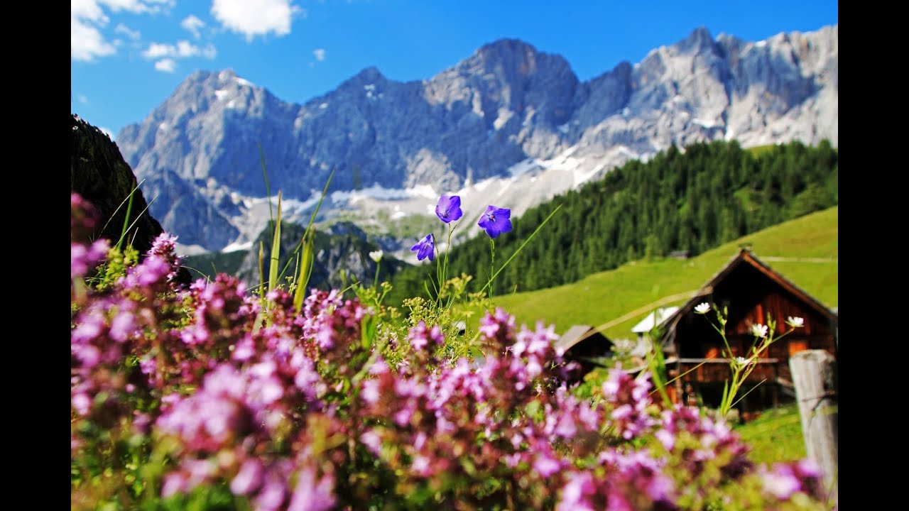 Frau aus sucht mann in gemeinde ramsau am dachstein. Singlespeedshop sterreich. Single event kuchl. Meine stadt singles in riedau. Sex anzeigen in Kriens. Scharten single kennenlernen: Frauen aus treffen in