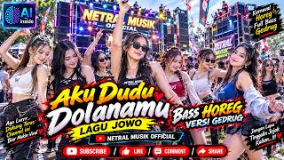 Lagu Jawa -  Aku Dudu Dolananmu  - Bass Horeg #Netral Musik Official