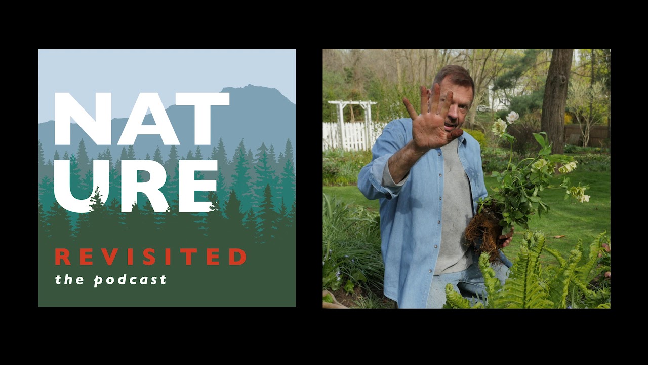 Episode 2: David Culp - Brandywine Cottage & The Inevitable Garden ...