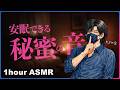 俺らのヒミツ... /// 睡眠用ASMR ❤️ 眠れる深めのループ音|寝落ち用 1時間