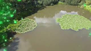 mavic mini lily lake