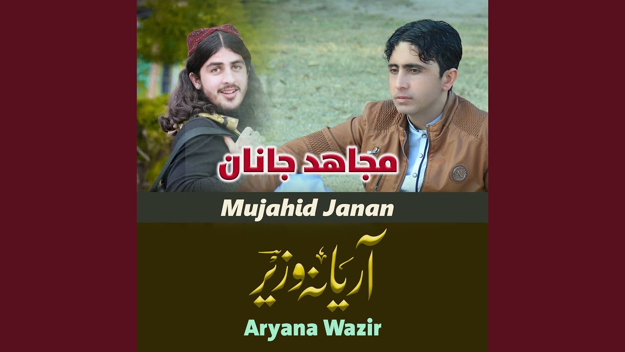 دابه څه ورزوي چې مو بیا کډې بریګي