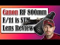 Canon RF 800mm f/11 is STM Lens Review | Wildlife Photography