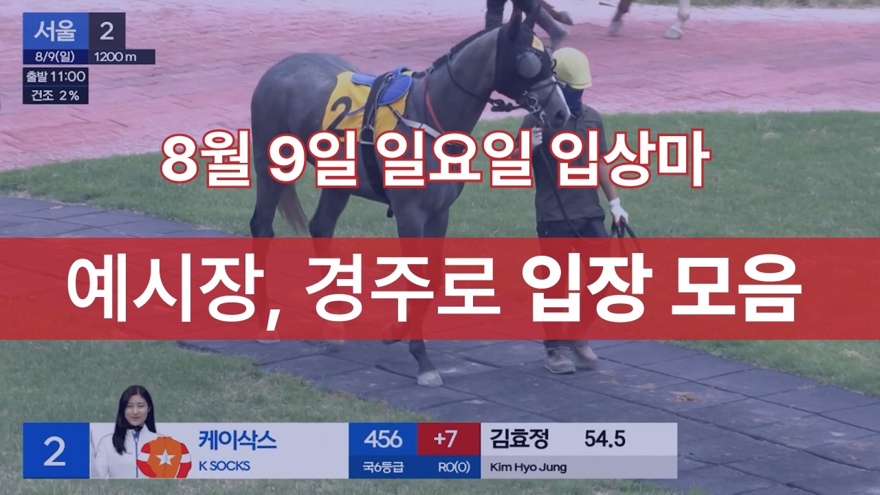 [8월 9일 일요일 입상마] 예시장, 경주로 입장 모음