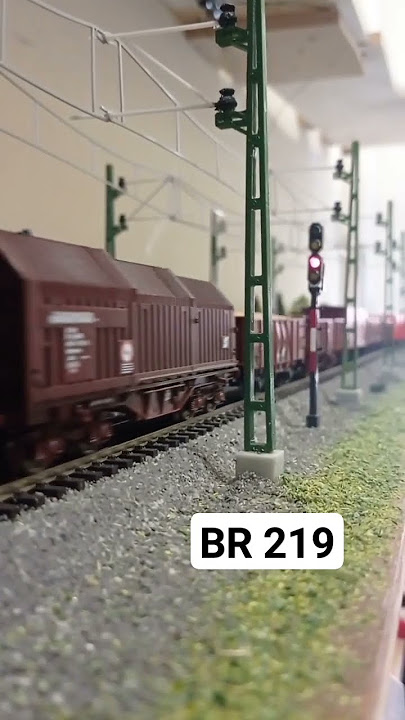 BR 219 #h0 #horrem #model_train #modelleisenbahn #railway #brawa