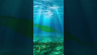 drawing an extinct animal ever day day 6