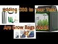 How to use co2 with a tent how to get free co2  testing mushroom co2 bags