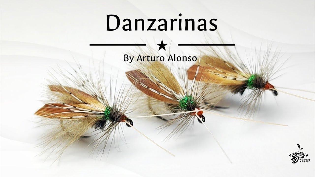 Montaje de moscas: Danzarinas en Spent. Montaje de un tricóptero de CDC y alas Siliconadas.