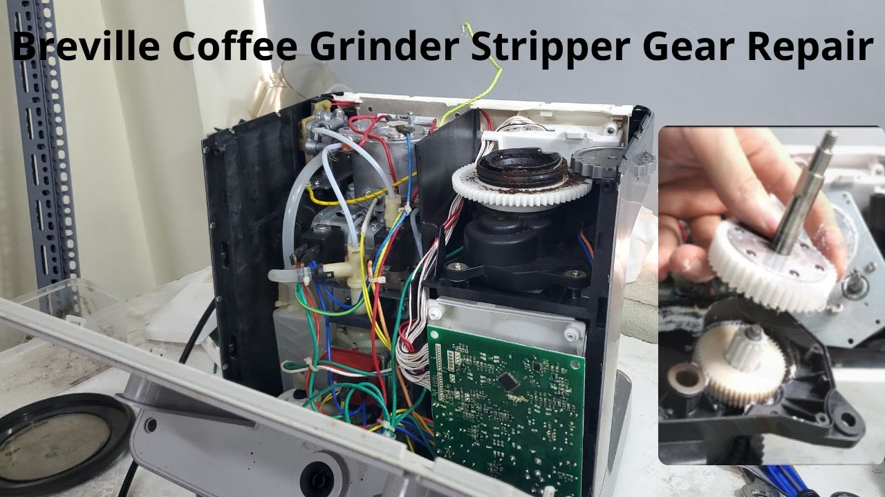 Breville Coffee Grinder Stripper Gear Repair