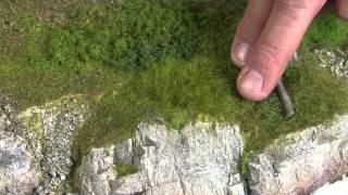 Download Lagu Wild Grass MP3