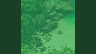 Distinguished Moods for Quiet Tranquility