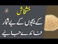Khashkhash Ke Fayde | Health Benefits Of Poppy Seeds | Health Tips In Urdu