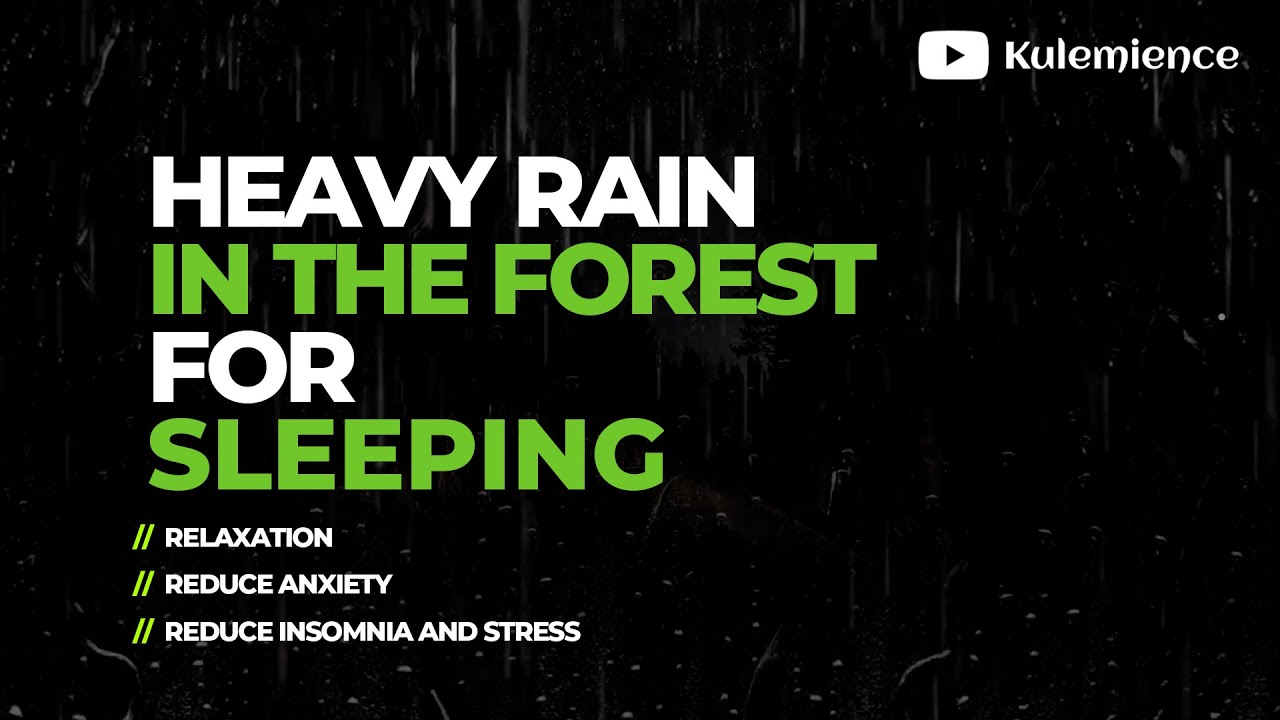Rain Sounds At Dark Night In The Forest. Go To Sleep In 5 Minutes - YouTube