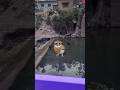 Funny owl dance #funny #owl #dance #water #pool #birds #fypシ #fypシ゚viral #fypシ゚ #fyp #nature #shorts