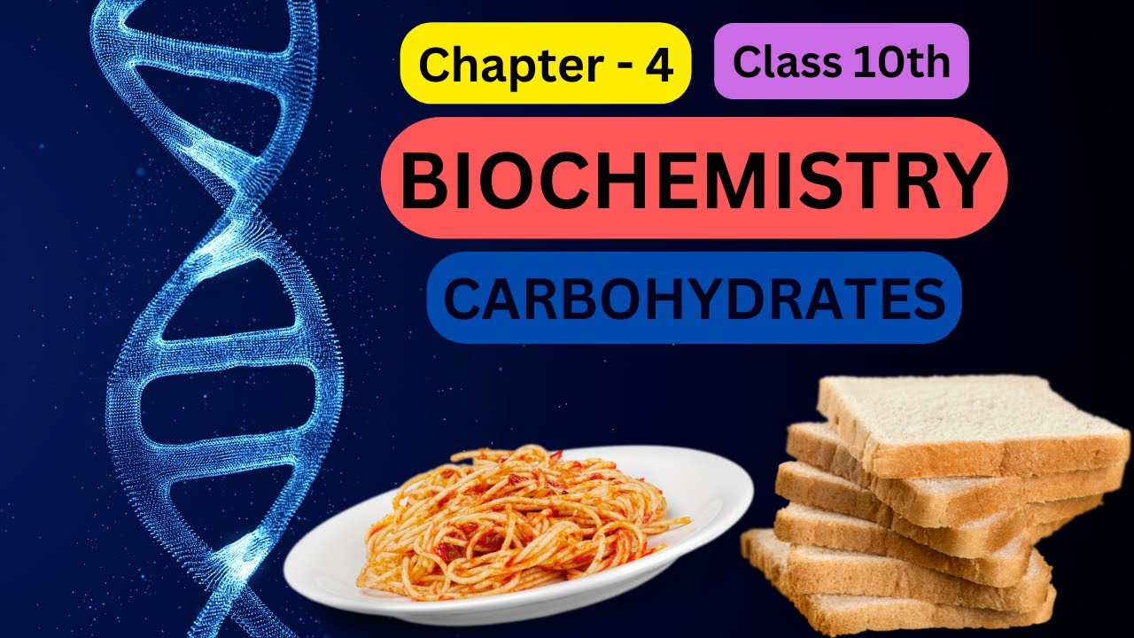 Class 10 Chemistry Chapter 4 Biochemistry Carbohydrate kya hai in