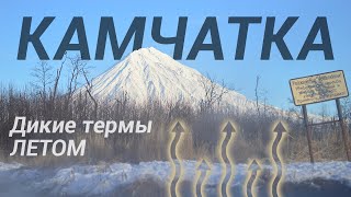 БОЛОТО камчатской ТУНДРЫ меня ЗАСОСАЛО! ЗАЧЕМ поперся ОДИН!?