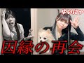 ガチ喧嘩中の元メンバーにあわせてみたw w w