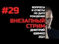 ВНЕЗАПНЫЙ СТРИМ/Ноябрь,2021/#29/Дмитрий Шимко/Дата Рождения