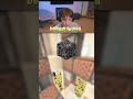 DrDonut Gets CAUGHT Leaking Bedrock… Then Finds the BIGGEST Stash 😂💀